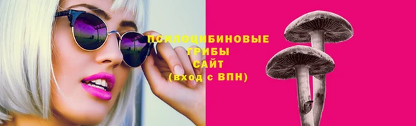прущие грибы Горно-Алтайск