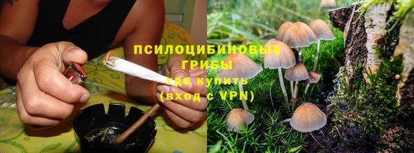 трава Вязьма