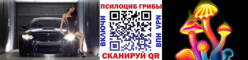 Псилоцибиновые грибы Psilocybine cubensis OMG зеркало Назрань